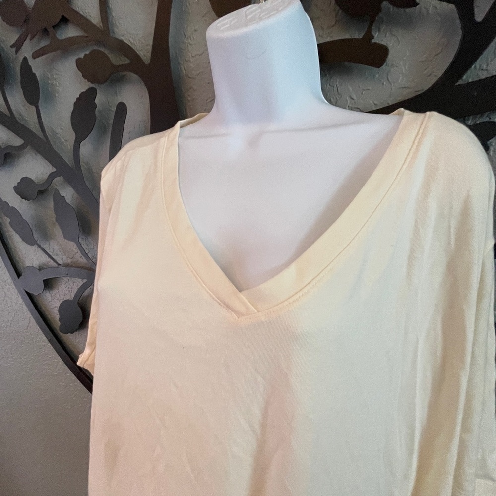 Terra & Sky plus size t-shirt